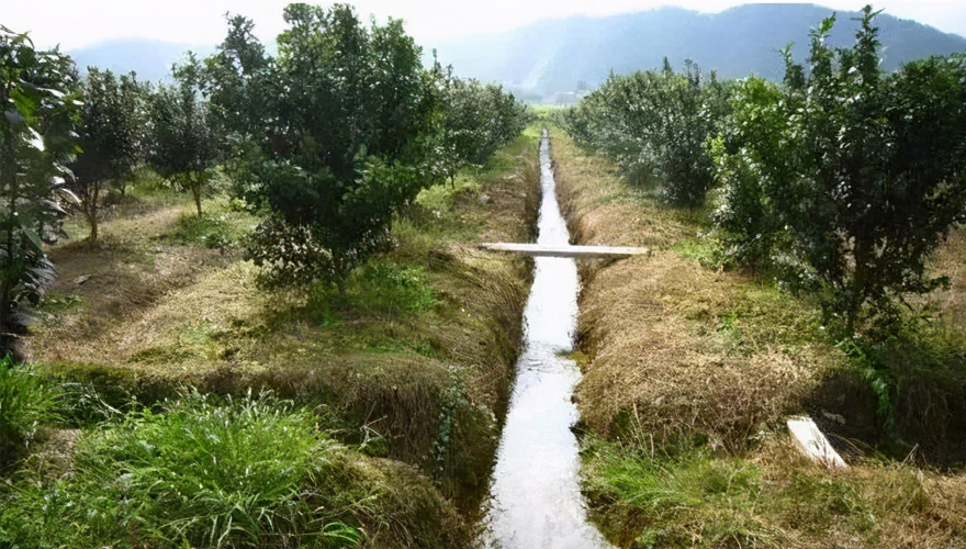 智慧農(nóng)業(yè)為春耕按下農(nóng)忙“加速鍵” 希望的田野插上“科技翅膀”