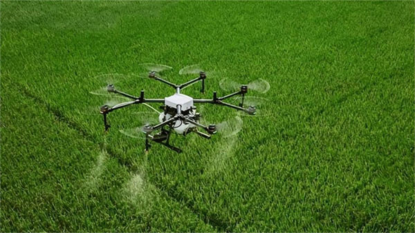 植保無人飛機(jī)施藥防控小麥穗期病蟲害指導(dǎo)意見