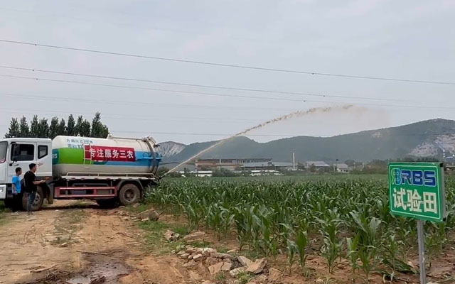 玉米追肥注意事項(xiàng) 追肥澆水要避開(kāi)五大誤區(qū)