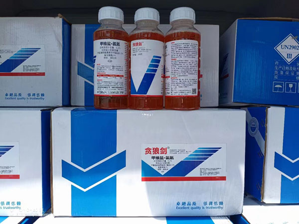 細菌生物、農(nóng)藥施用前要注意天氣