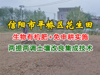 信陽(yáng)市平橋區(qū)花生田使用潤(rùn)博盛生物有機(jī)肥