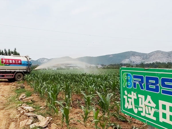 華北黃淮墑情部分改善 旱地干旱持續(xù)